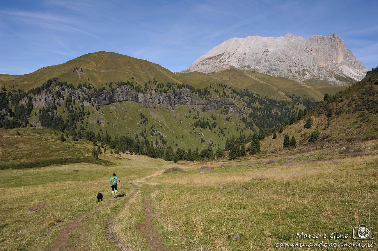 090 Val Duron - Sasso piatto.JPG